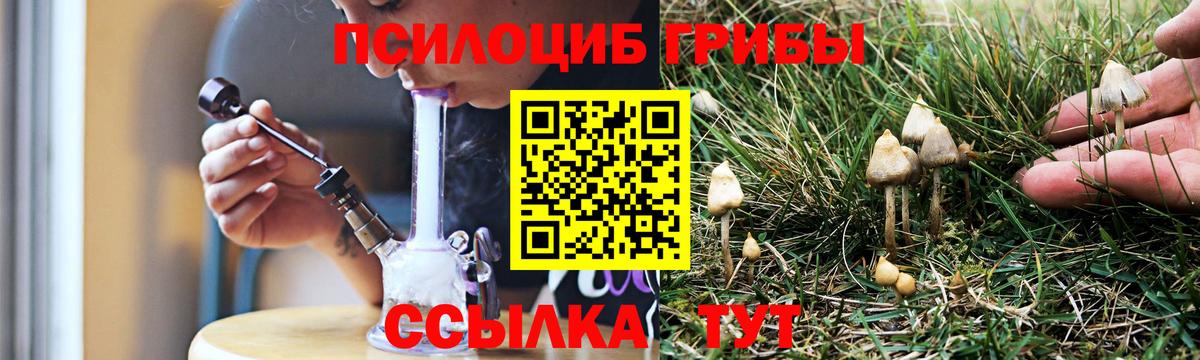 Галлюциногенные грибы ЛСД Шахты