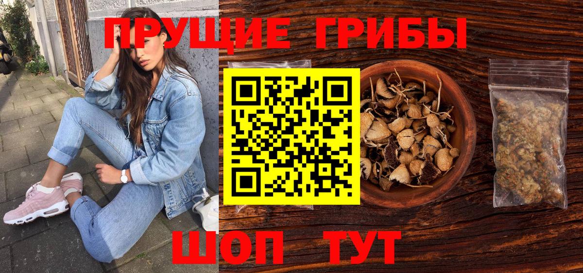 где можно купить   Вход с VPN  Галлюциногенные грибы мухоморы  Шахты  Галлюциногенные грибы Psilocybe 